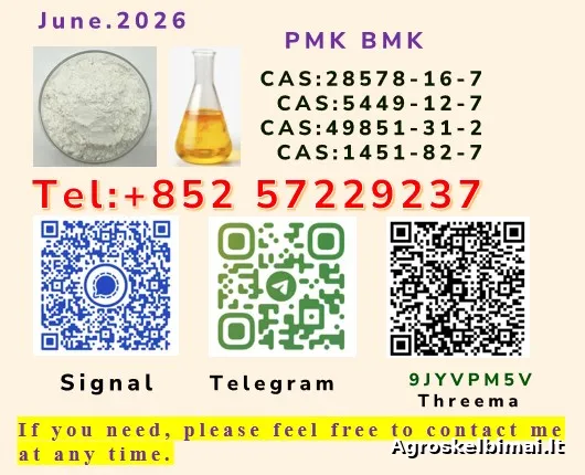 28578-16-7 PMK Competitive Price NEW 5449-12-7 BMK  Consistent Quality