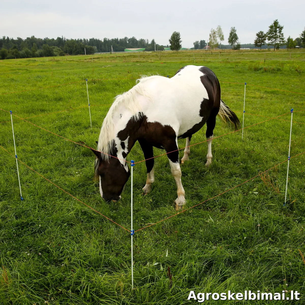 Stiklo pluošto kuolelis su plastikiniu pakojuku - nuotrauka 2