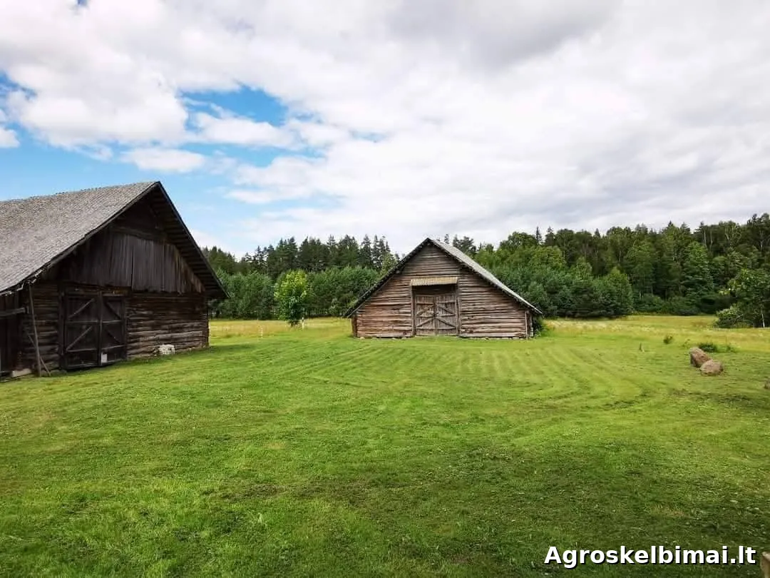 Parduodama Utenos raj. Paisetės kaime, esanti sodyba.