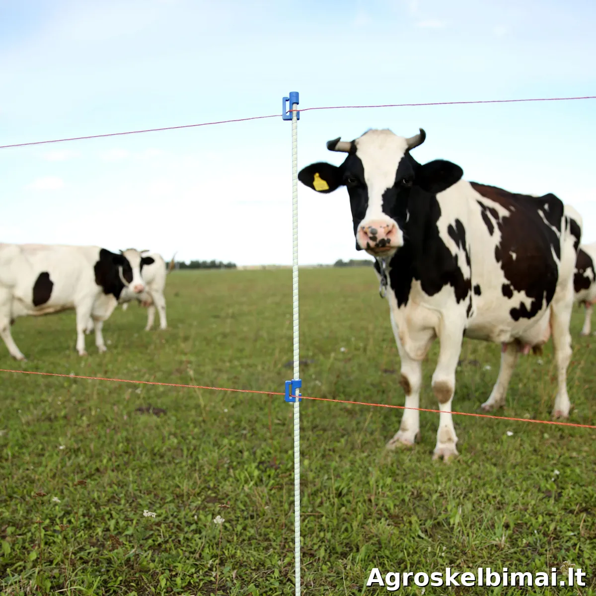 Stulpeliai elektriniam piemeniui iš stiklo pluošto - nuotrauka 7