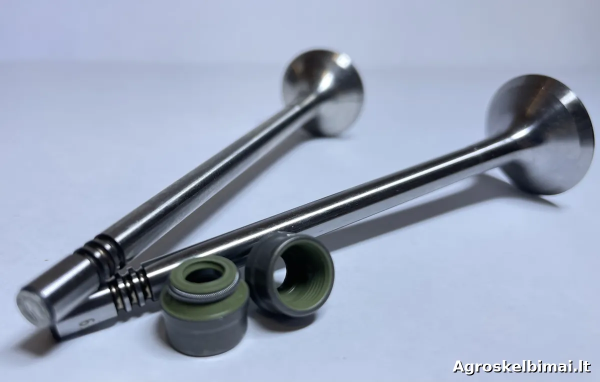 Variklių galvučių remontas, šlifavimas, tikrinimas, vožtuvų šlifavimas - nuotrauka 10