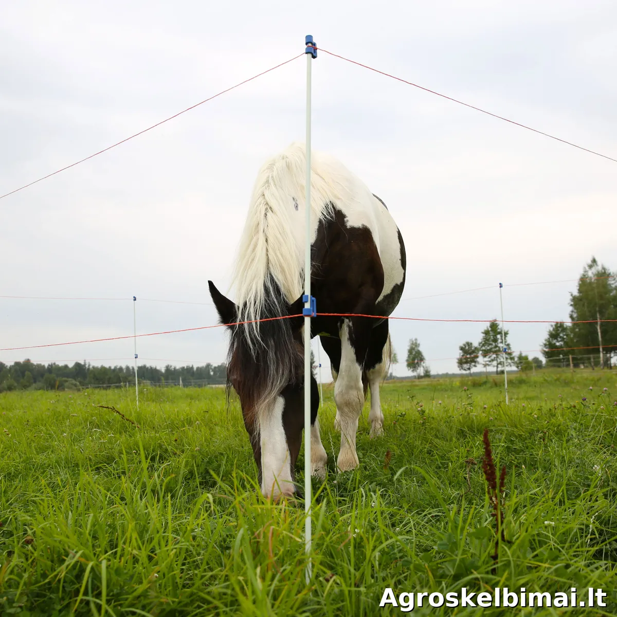 Stiklo pluošto kuolelis elektriniam piemeniui - nuotrauka 6