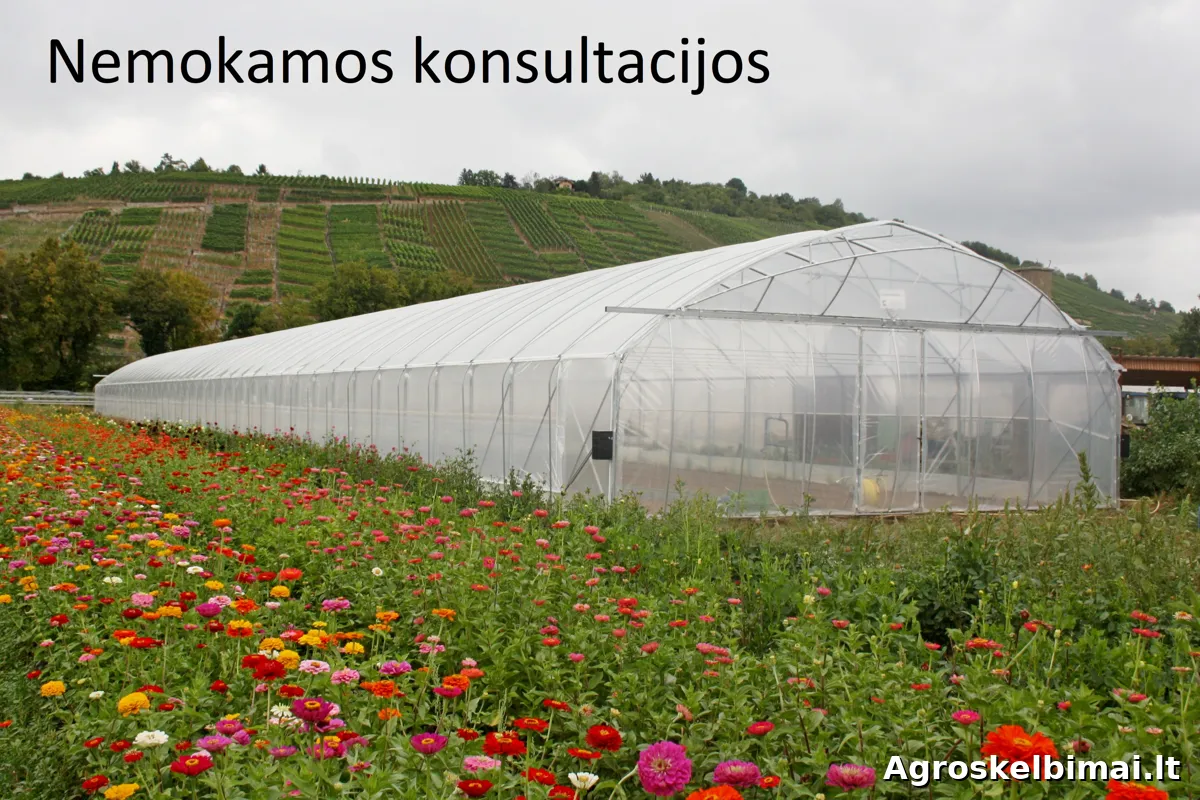 Europrogress – Itališki Pramoniniai Šiltnamiai