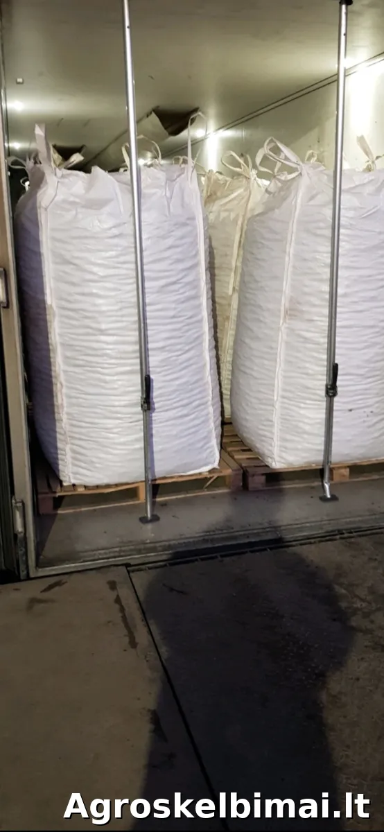 GALA maistinės bulvės – didmena - nuotrauka 7