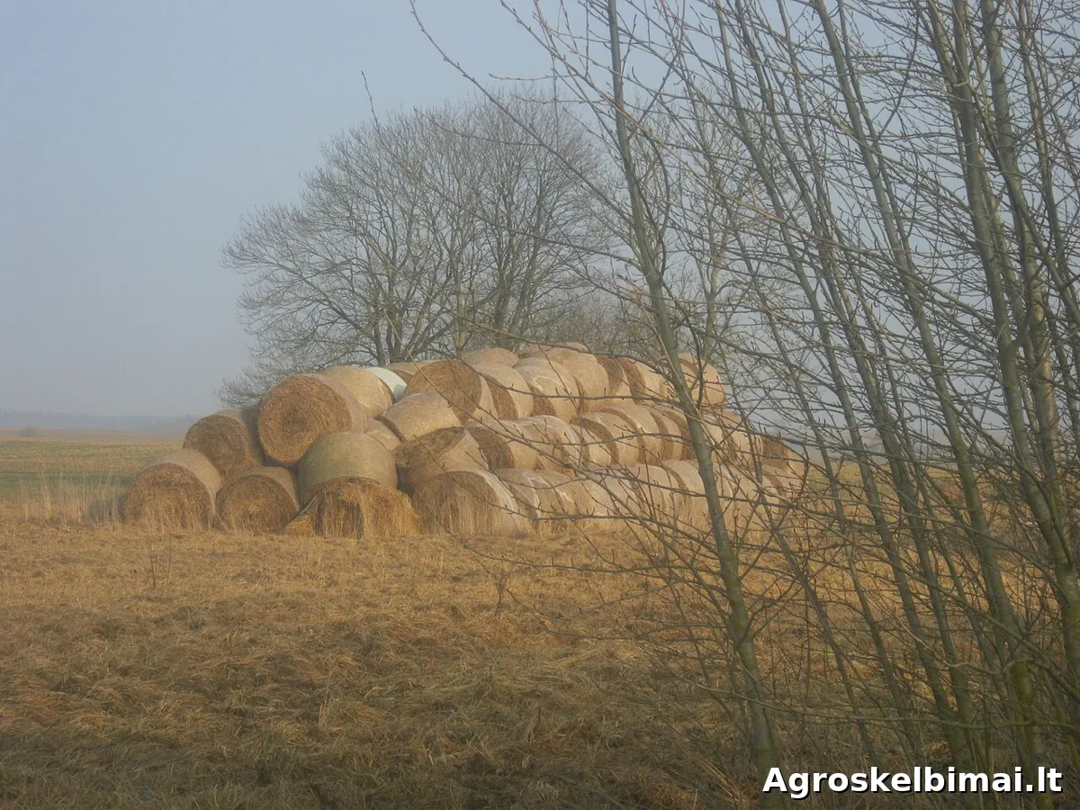 Seni šienas, šiaudai, mėšlas. Priimu