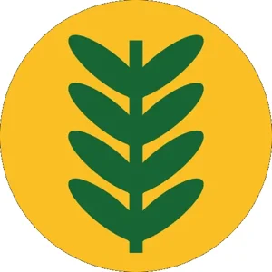 Vartotojo Dalius nuotrauka