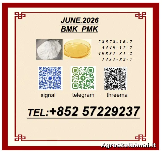 Best Price CAS 28578-16-7CAS 49851-31-2 High Purity B.MK - Sodininkystė, Joniškis