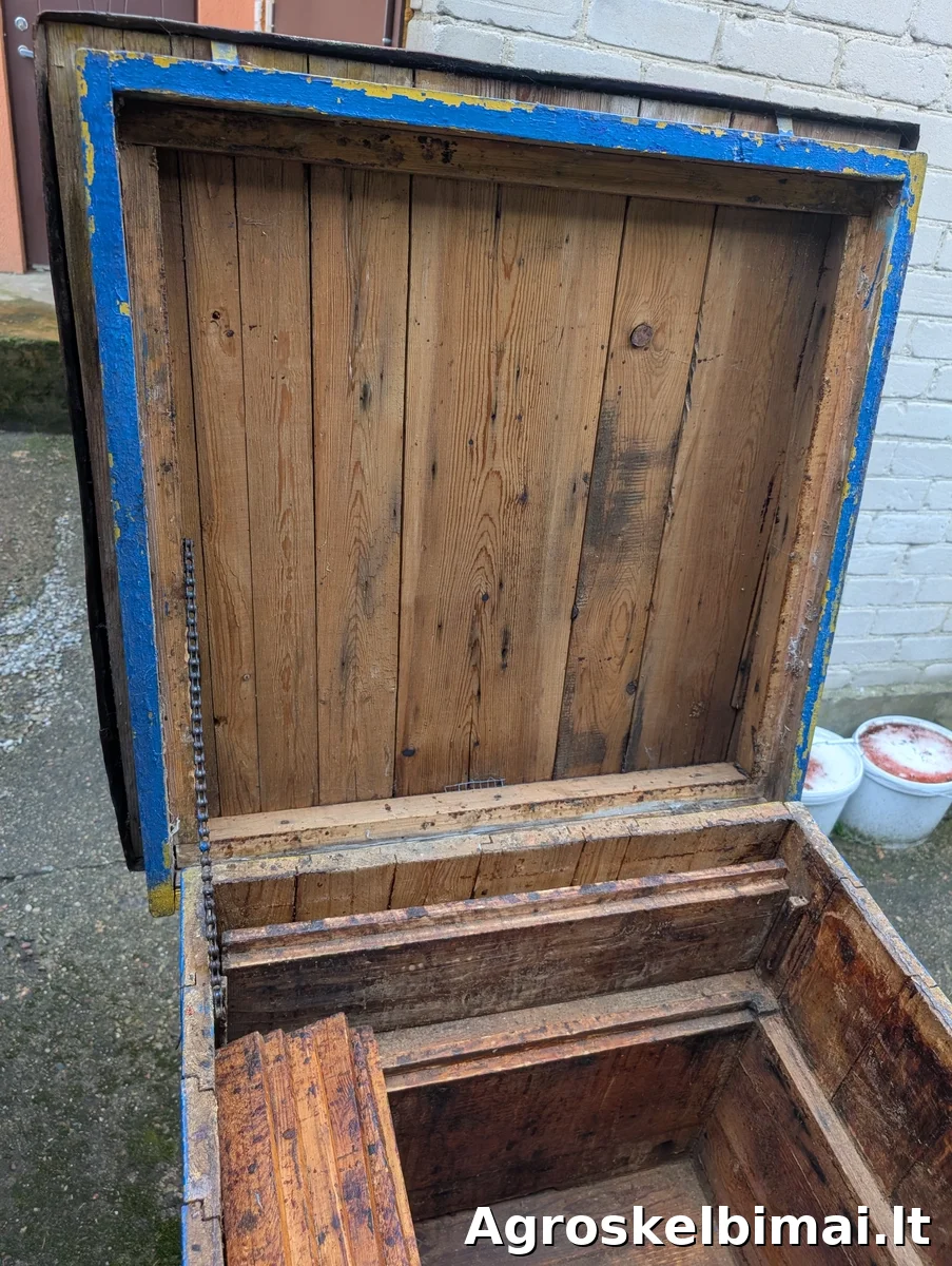 Bičių aviliai (dadano tipo)