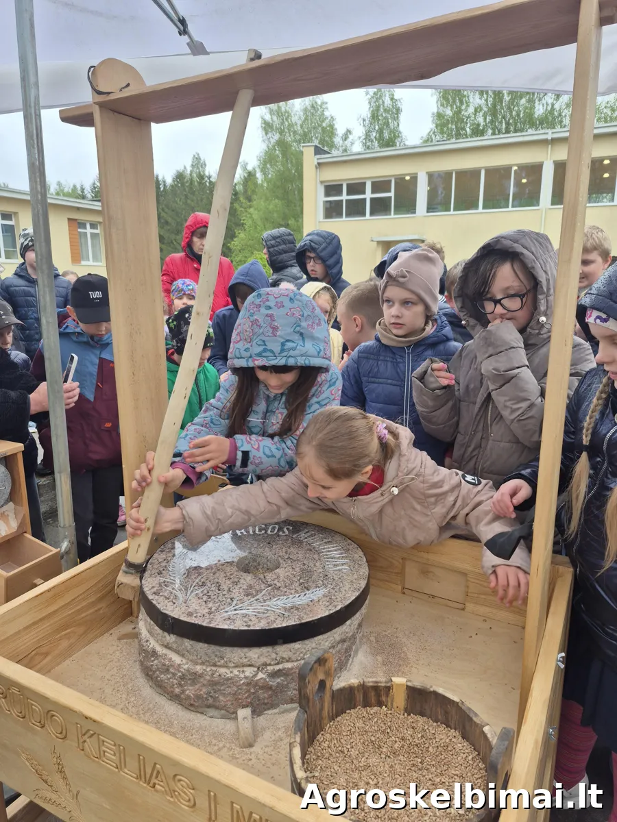 Edukaciniai mokomieji užsiėmimai "Grūdo kelionė į miltus"