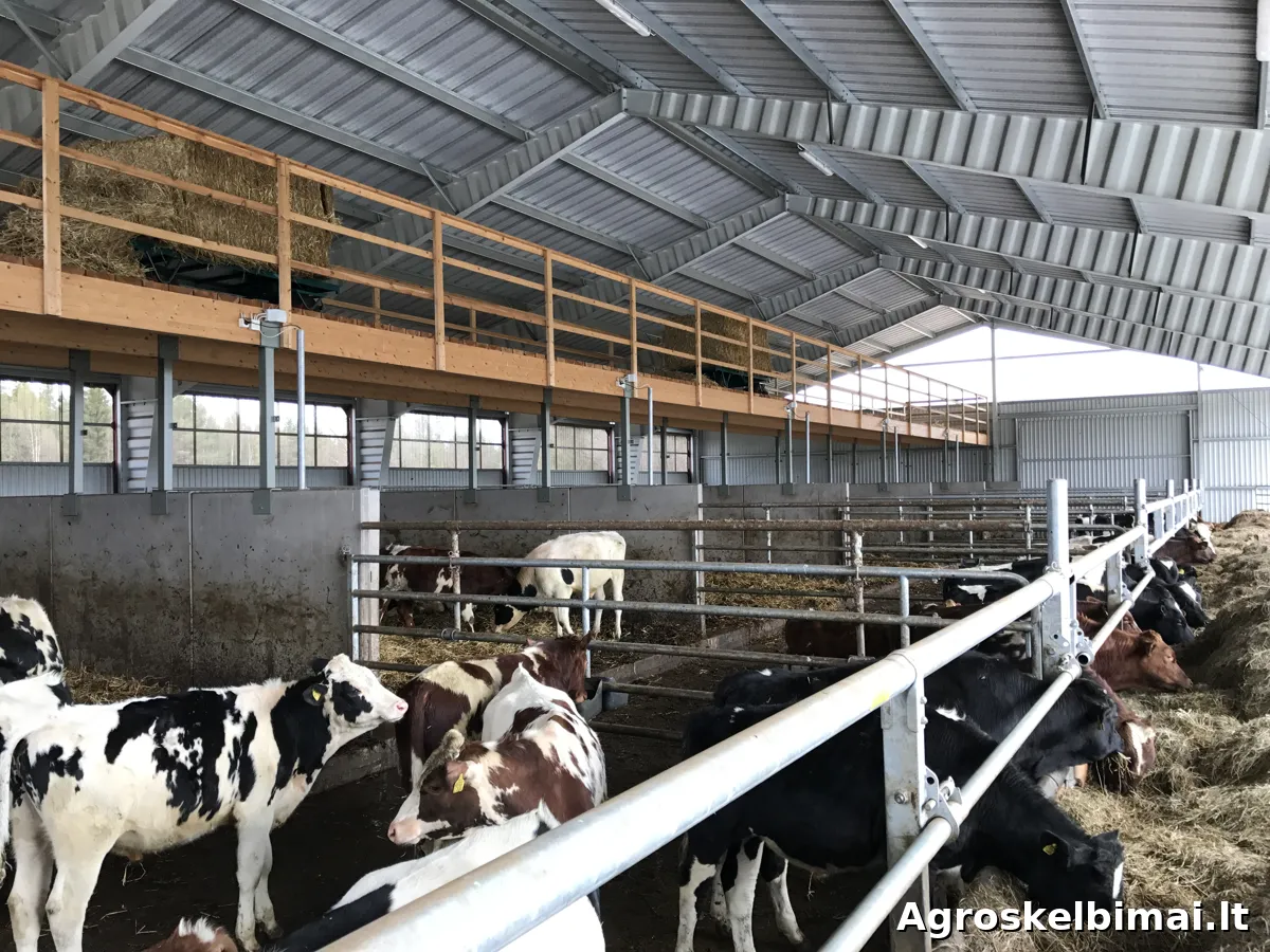 Fermos, angarai gyvuliams, paukščiams | Borga - Nekilnojamasis turtas nuotrauka 4