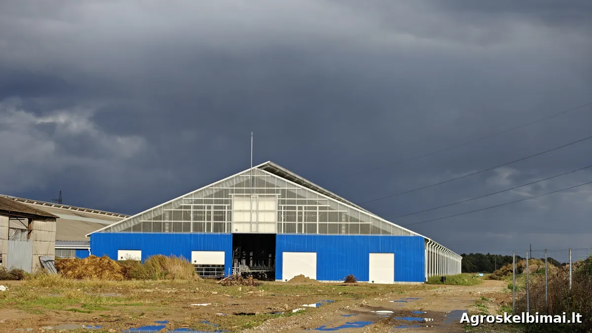 Fermos, angarai gyvuliams, paukščiams | Borga - Nekilnojamasis turtas nuotrauka 6