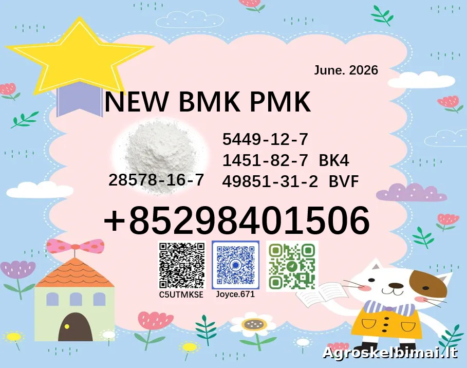 Free shipping New BMK PMK CAS 5449-12-7 and 28578-16-7 - Technika nuotrauka 2