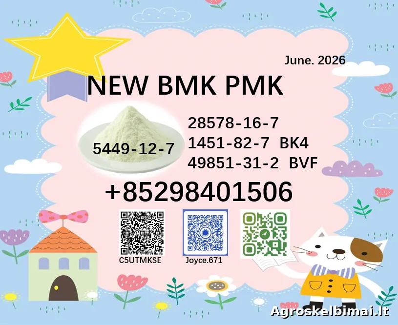Logistics support PMK 28578-16-7 NEW BMK 5449-12-7 on sale