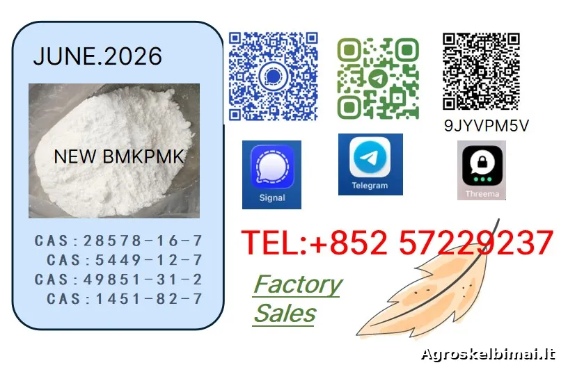 New PM.K 28578-16-7 High Quality Supply - Augalininkystė, Joniškis