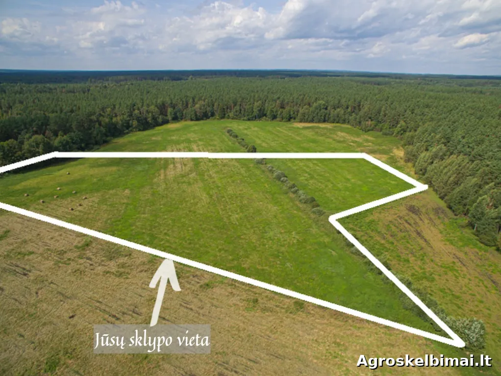 Parduodamas sklypas Senojo Tarpupio k., 411.79 a ploto  - Nekilnojamasis turtas nuotrauka 4