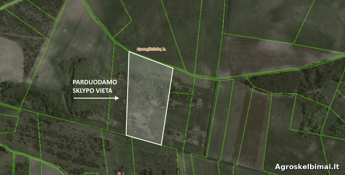 Parduodamas sklypas Spenglininkų k., 459.00 a ploto  - Nekilnojamasis turtas nuotrauka 2