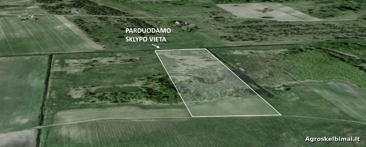 Parduodamas sklypas Spenglininkų k., 459.00 a ploto  - Nekilnojamasis turtas nuotrauka 4