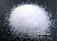 Parduodame rafinuotą baltąjį burokėlių cukrų ICUMSA 45