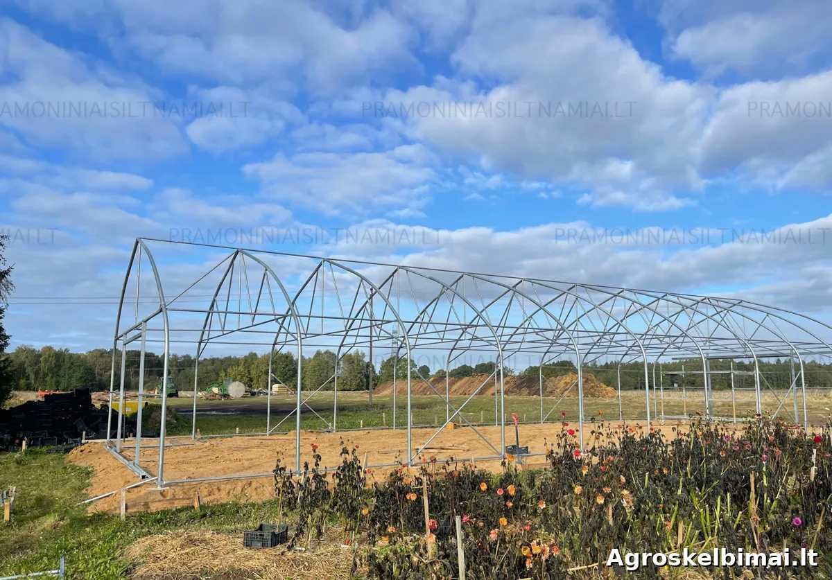 Pramoniniai šiltnamiai už gerą kainą! - pagrindinė nuotrauka