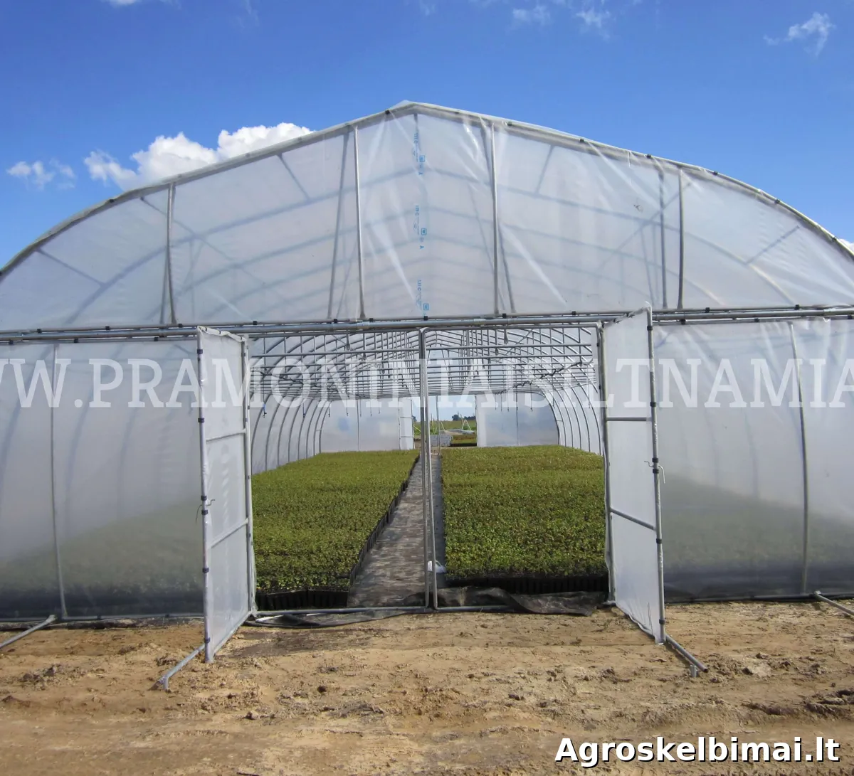 Pramoniniai šiltnamiai už gerą kainą! - nuotrauka 6