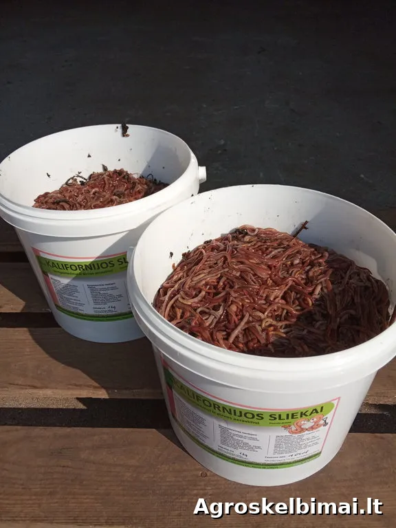 Kalifornijos sliekai