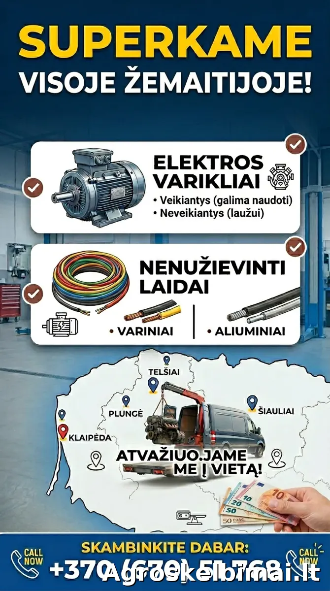 Superkame: elektros variklius, laidus - Paslaugos, Klaipėda