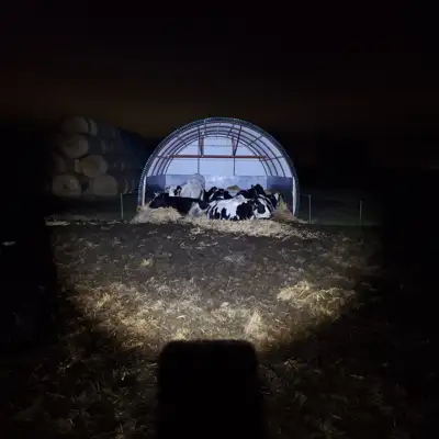 Kilnojama pastogė gyvuliams - Nekilnojamasis turtas