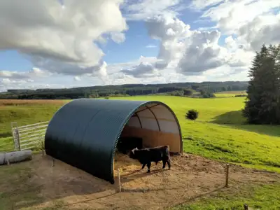 Kilnojama pastogė gyvuliams