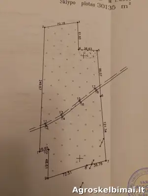 Sklypas, Telšių r.sav, 3 ha