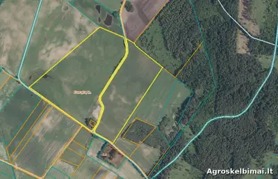 Žemės ūkio paskirties sklypas