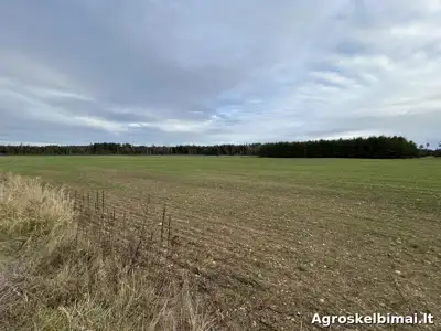 Žemės ūkio paskirties sklypas - Nekilnojamasis turtas