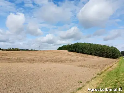 Žemės ūkio sklypai su sodyba