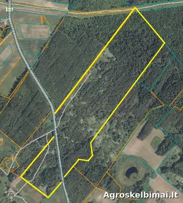 Žemės ūkio paskirties sklypas