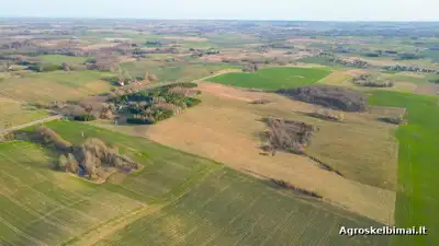 Žemės ūkio sklypai su sodyba