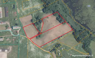4.2 ha žemės ūkio paskirties sklypai - Nekilnojamasis turtas (Rokiškis)