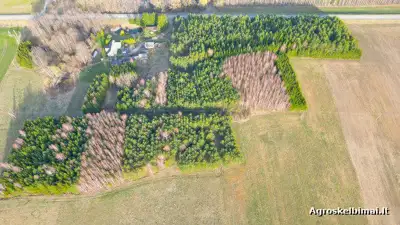 Žemės ūkio sklypai su sodyba - Nekilnojamasis turtas