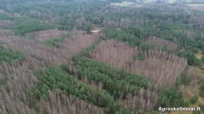 PARDUODAMAS žemės ūkio paskirties sklypas Rokiškio r.