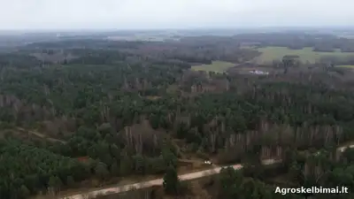 PARDUODAMAS žemės ūkio paskirties sklypas Rokiškio r.