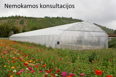 Europrogress – Itališki Pramoniniai Šiltnamiai