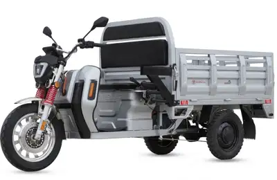 Elektrinis krovininis triratis KINGBOX 3