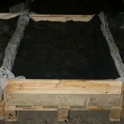 Kalifornijos sliekai