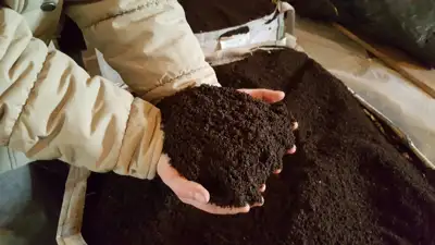 Parduodamas ekologinei žemdirbystei sertifikuotas biohumusas ir jo mišiniai (substratai)