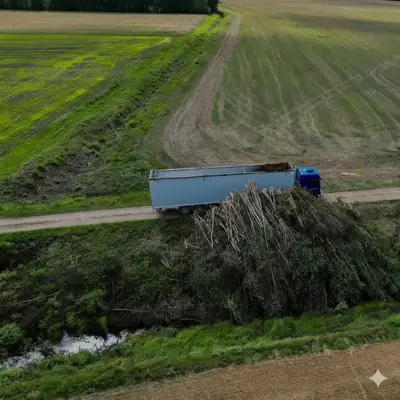 Birių krovinių ir medienos pervežimas