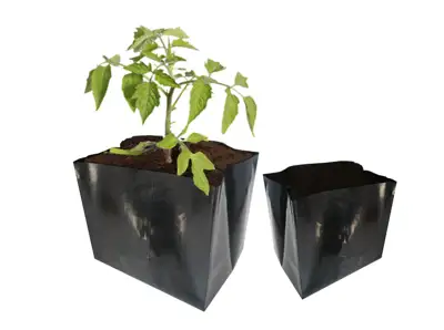  Daiginimo vazonai, maišeliai 0,5-8L talpos