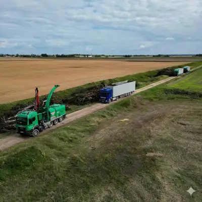 Medienos smulkinimas