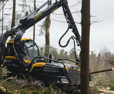 Miško ruošos darbai