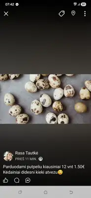 Parduodami naminiai putpeliu kiausiniai