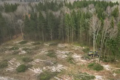 Perkame biokuro žaliavą išsitraukimui ir kirtimui