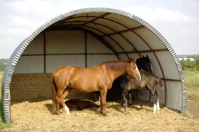 Kilnojama pastogė gyvuliams