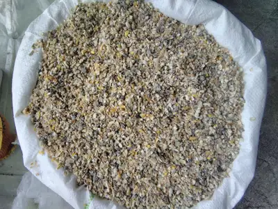 Traiškytų grūdų mišinys paukščiams